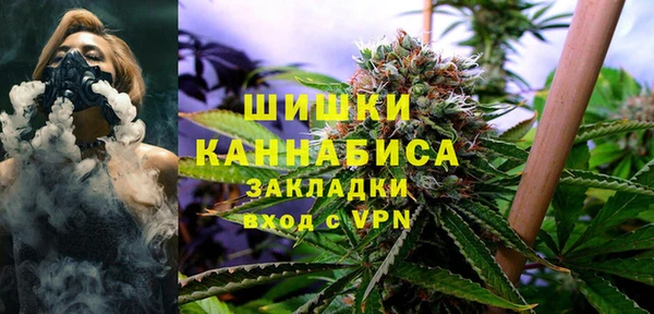 гашик Нефтекумск